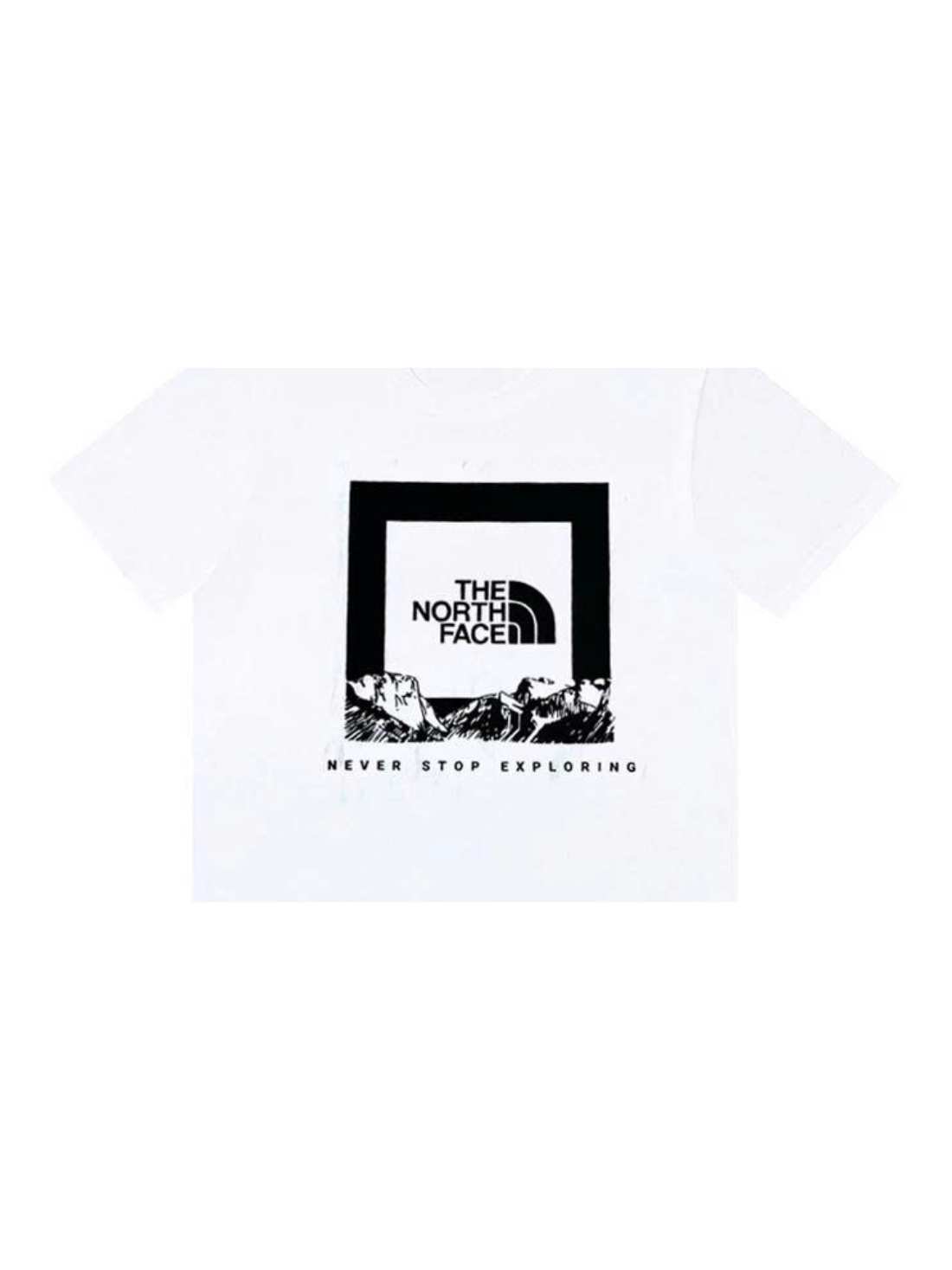 Áo Thun The North Face Logo Đen Trắng